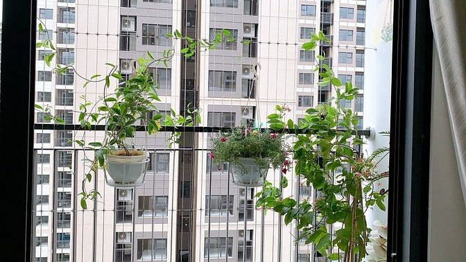 Hình ảnh Cho thuê căn 2N2WC - vinhomes ocean park
