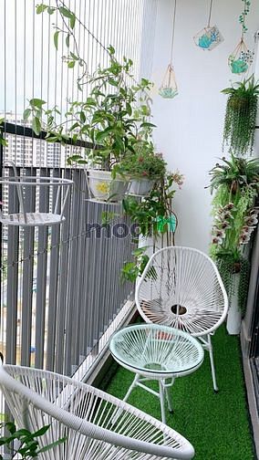 Hình ảnh Cho thuê căn 2N2WC - vinhomes ocean park