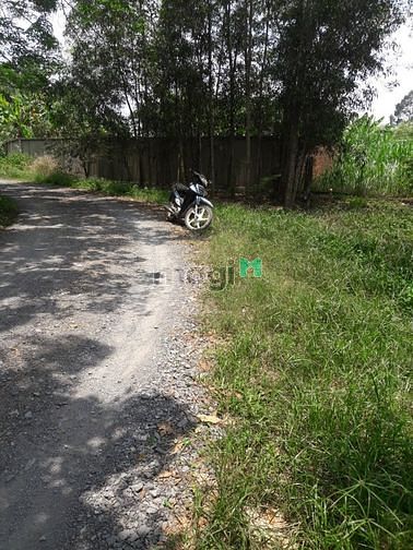 Hình ảnh đất sát bên UBND xã An Phú 20x50m . có 600m thổ cư , chủ cần bán gấp