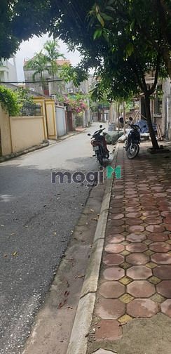 Hình ảnh Bán Đất Tình Quang, GIÁ Trang MB66.COM Chính Thức - MB 66 Uy Tín,  ô tô tránh, 77m, MT 3.9, nhỉnh 3 tỷ