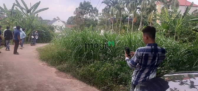 Hình ảnh Quang Hiển,Quang Thịnh, Bắc Giang:DT=266m2,giá chỉ có 650tr
