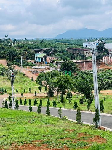 Hình ảnh Đất thổ cư biệt thự Drambri Bảo Lộc 6tr8/m2