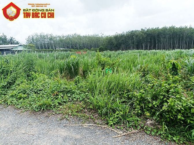 Hình ảnh Bán đất đường Đào Thị Thơm - 892m2 - 20x46 - 300m2 thổ cư - xã An Nhơn