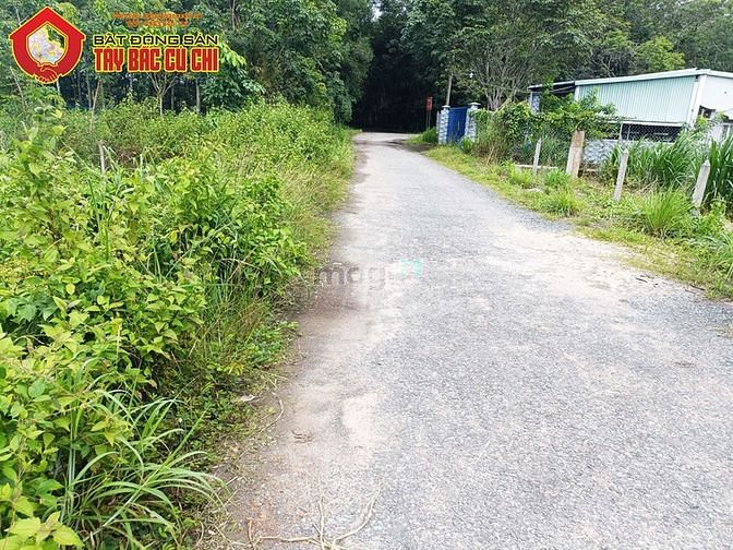 Hình ảnh Bán đất đường Đào Thị Thơm - 892m2 - 20x46 - 300m2 thổ cư - xã An Nhơn