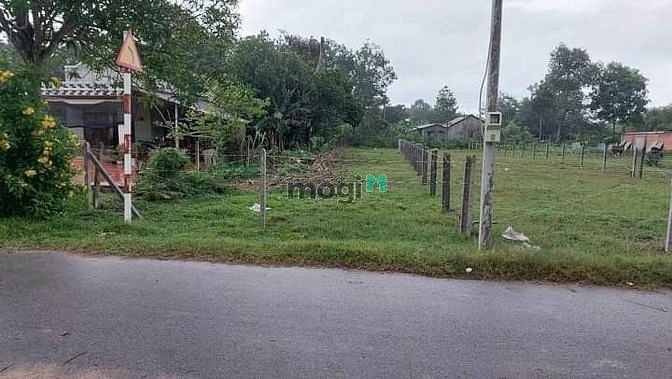 Hình ảnh Cần bán gấp đất THỔ CƯ đường Lê Văn Việt Q9,hẻm 6m,80m2 giá chỉ 3 tỷ 7