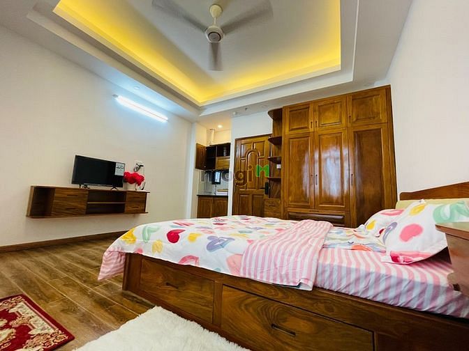 Hình ảnh Căn Hộ dạng studio nội thất gỗ Quận 10 Bà Hạt