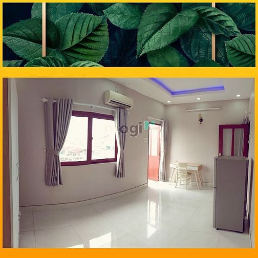 Hình ảnh BAN CÔNG LỚN - STUDIO roof top siêu xinh Phú Nhuận