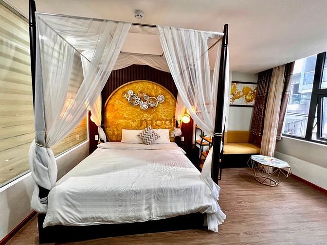Hình ảnh Căn Hộ Cao Cấp.Hai Bà Trưng, Cầu Kiệu. Q.1