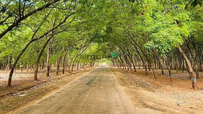 Hình ảnh Lô đất gần hồ Trị An, Định Quán, Đồng Nai
