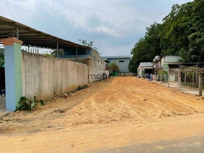 Hình ảnh Sang nhượng lô đất sổ hồng riêng 100m2, mặt tiền Phạm Đức Sơn, Quận 8