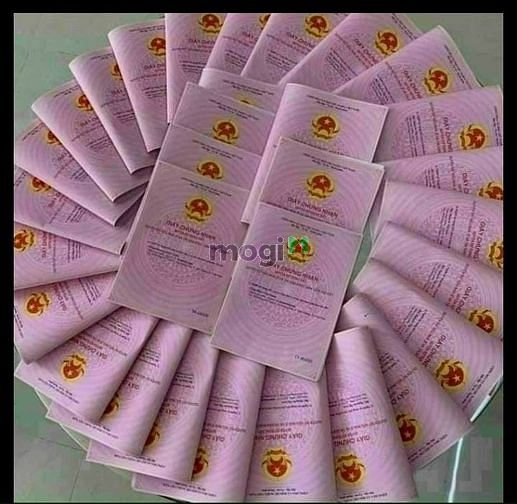 Hình ảnh Mở bán đất nền Tân Khai 2, Chơn Thành, Bình Phước