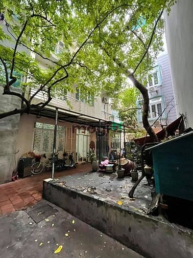 Hình ảnh Nhà ngõ đường Bưởi, Ba Đình 15.5 tỷ 220m2, Chia Lô Dành Cho Nhà Mb6623 phiên bản mới nhất