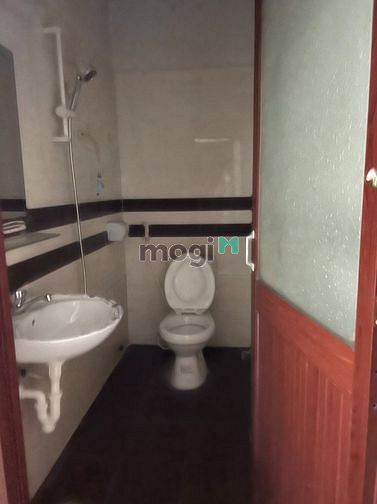 Hình ảnh CHDV Sư Vạn Hạnh 10p, 10wc, Dt 4x19m