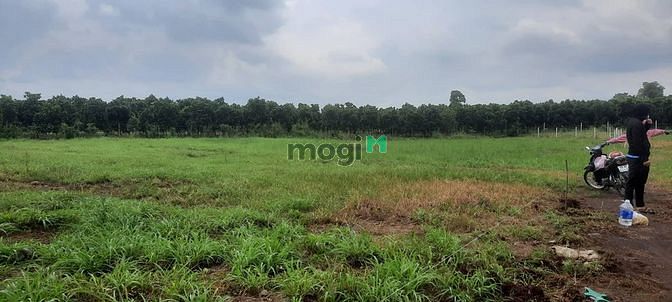 Hình ảnh Gần 1200m2 cách sân bay Long Thành 18km
