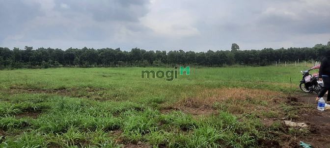 Hình ảnh Gần 1200m2 cách sân bay Long Thành 18km