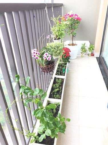 Hình ảnh Cho thuê Jamila khang điền 2PN-2WC giá 10TR view sông full nội thất