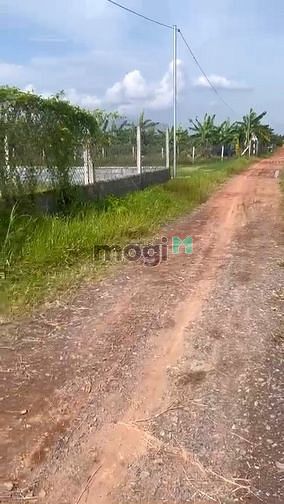 Hình ảnh Bán 1.4 sào đất cực đẹp xã Bình Lợi, Vĩnh Cửu, Đồng Nai