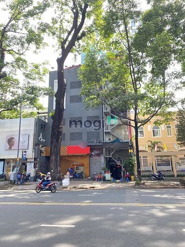 Hình ảnh Cho thuê MT Phạm Ngọc Thạch Q3 Sát Hồ Con Rùa 9*25m Hầm 5Lầu 500tr