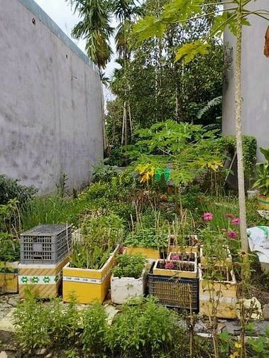 Hình ảnh * bán lô đất Bình Nhâm .đường xe 7 chỗ