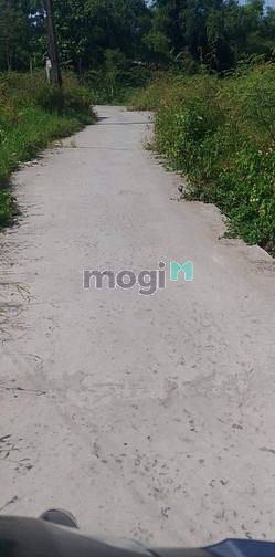 Hình ảnh Đất 337m2 full thổ gần chợ Vinh Hiền, Phú Lộc