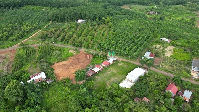Hình ảnh CĐT Mở bán Quỹ đất Lộc Ninh, Bình Phước ,Có Sổ ngay .