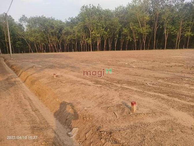 Hình ảnh CĐT Mở bán Quỹ đất Lộc Ninh, Bình Phước ,Có Sổ ngay .