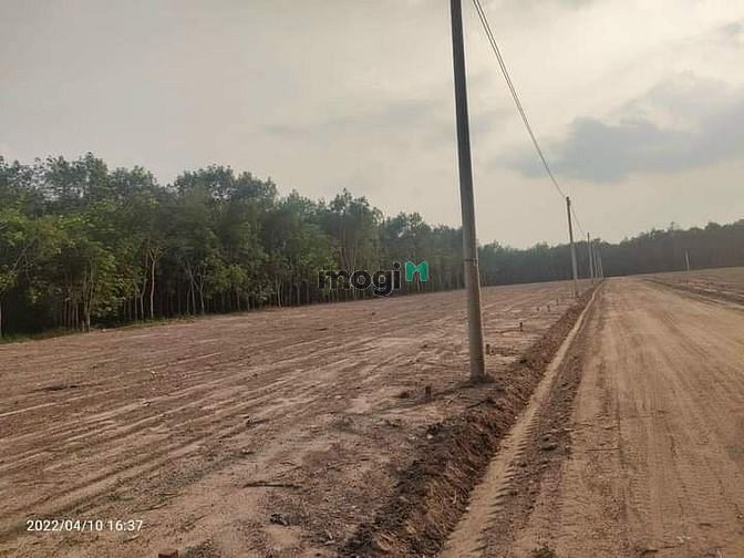 Hình ảnh CĐT Mở bán Quỹ đất Lộc Ninh, Bình Phước ,Có Sổ ngay .