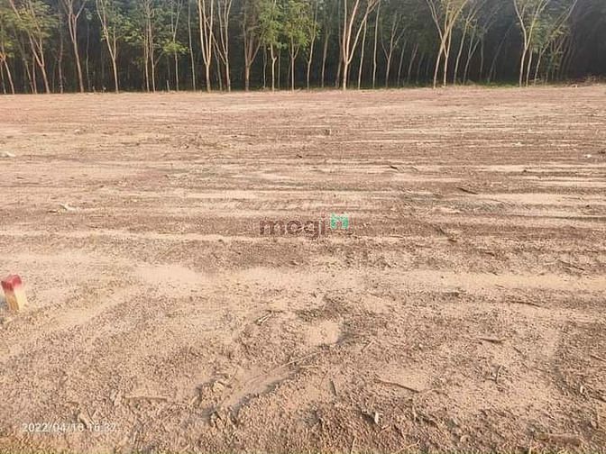 Hình ảnh CĐT Mở bán Quỹ đất Lộc Ninh, Bình Phước ,Có Sổ ngay .