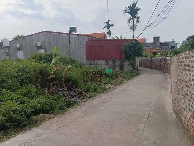 Hình ảnh 100m ngay đường 43m,đối diện ShopHouse Trung tâm Quận Đồ Sơn,Hải Phònh