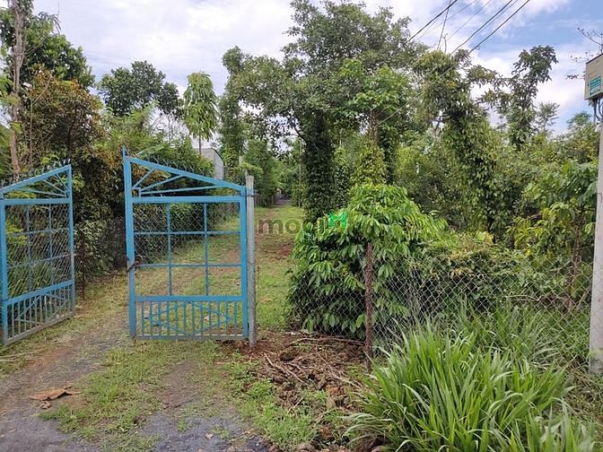 Hình ảnh Bán LÔ TC 100m2 Gần chợ Phú Tân .TT ĐỊnh Quán