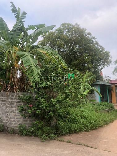 Hình ảnh Bán Gấp Trong Tuần 270m2 Lạng Giang – Bắc Giang nhỉnh 1 Tỏi