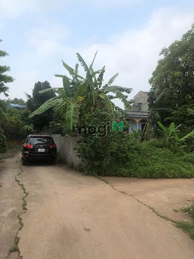 Hình ảnh Bán Gấp Trong Tuần 270m2 Lạng Giang – Bắc Giang nhỉnh 1 Tỏi