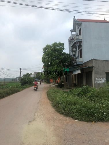 Hình ảnh Bán Gấp Trong Tuần 270m2 Lạng Giang – Bắc Giang nhỉnh 1 Tỏi