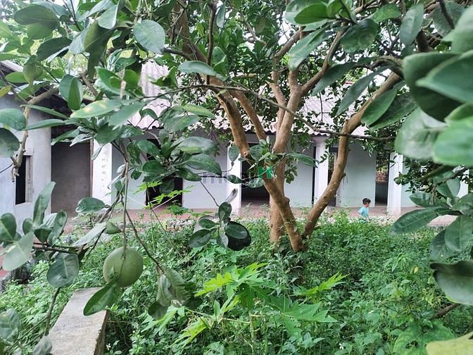 Hình ảnh View đồng  - thế đất cao - diện tích rộng - di chuyển thuận tiện -