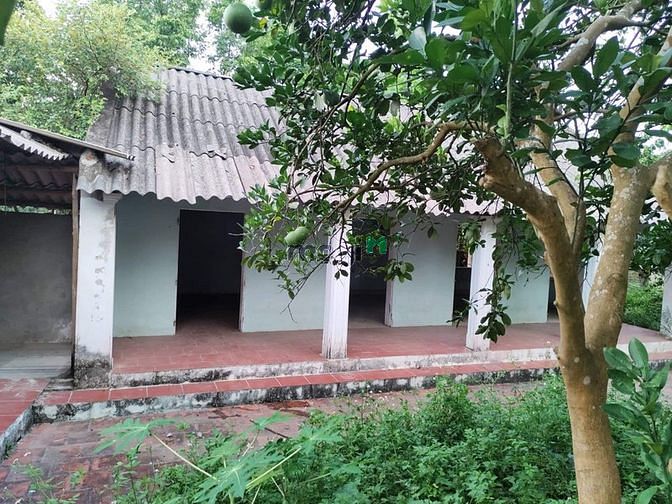 Hình ảnh View đồng  - thế đất cao - diện tích rộng - di chuyển thuận tiện -