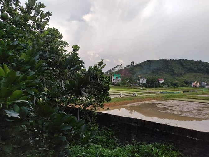 Hình ảnh View đồng  - thế đất cao - diện tích rộng - di chuyển thuận tiện -