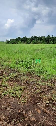 Hình ảnh Cơ hội sinh lời gấp đôi khi sở hữu ngay 1175m2 gần QL1A, KDC, KCN...