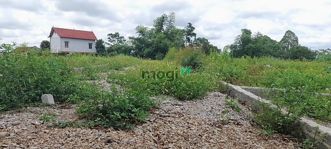 Hình ảnh Quang Hiển ,Quang Thịnh,Lạng Giang,Bắc Giang:DT=266m2,giá chỉ có 650tr