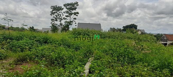 Hình ảnh Quang Hiển ,Quang Thịnh,Lạng Giang,Bắc Giang:DT=266m2,giá chỉ có 650tr