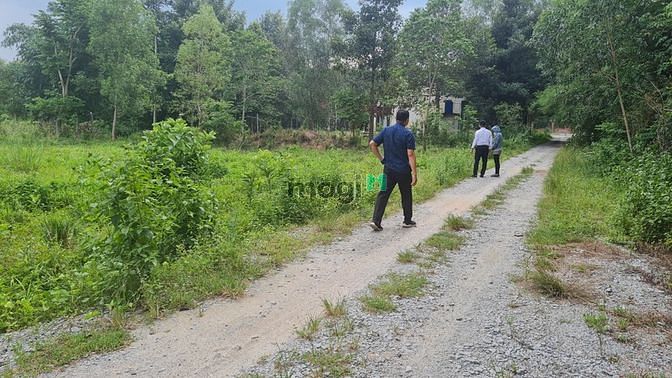 Hình ảnh Bán đất sổ hồng sẵn giá rẻ có thổ cư