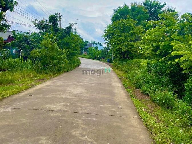 Hình ảnh Bán lô đất sổ sẵn có vườn trái cây