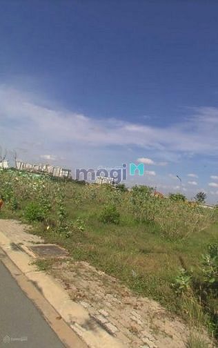 Hình ảnh Siêu phẩm đất nền tái định cư Nam Rạch Chiếc, An Phú, Quận 2. Sẵn sổ