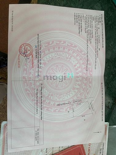 Hình ảnh Siêu Phẩm Đất Nền Nguyễn Kiệm - Phường Yên Thế - Tp.Pleiku Gia Lai