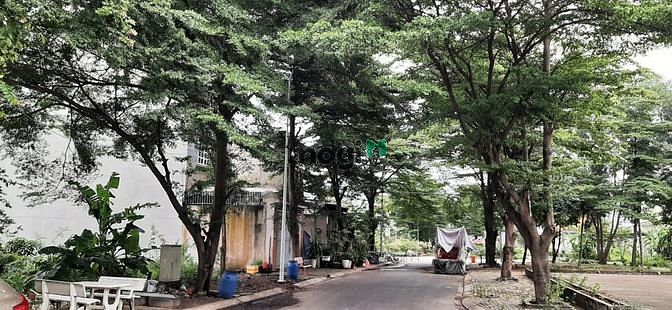 Hình ảnh Bán Đất Dự Án Hoàng Anh Minh Tuấn P.Phước Long B -5x 25m 💥TL cc