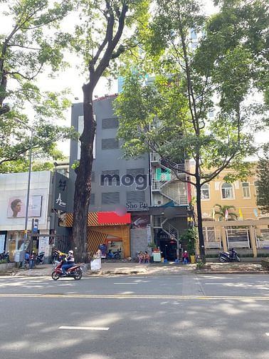 Hình ảnh Cho thuê MT Phạm Ngọc Thạch Sát Hồ Con Rùa - 9*25m Hầm 5 Lầu 500tr