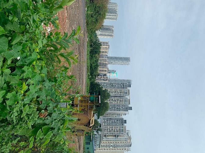Hình ảnh Cho thuê đất thảo điền quận 2 giá rẻ