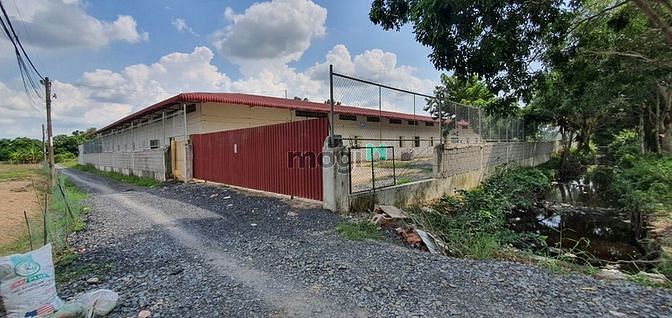 Hình ảnh Đất Biệt thự vườn cây sinh thái, ao cá, đường T12, 3600m2, 22 tỷ