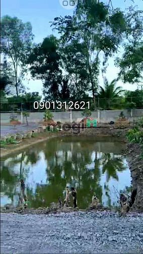 Hình ảnh Đất Biệt thự vườn cây sinh thái, ao cá, đường T12, 3600m2, 22 tỷ