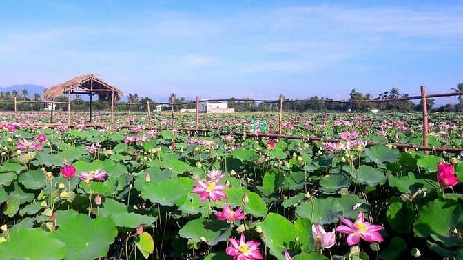 Hình ảnh Siêu phẩm 3 lô DT lớn đến 600m2-Đường Quy Hoạch 15m-Ven TP Đà Nẵng