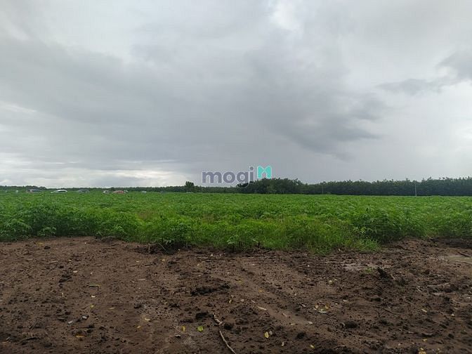 Hình ảnh Tôi Cần Bán Lô Đất Mặt Tiền Đường ĐT756 Chơn Thành Bình